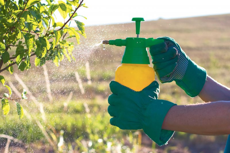 Определение остаточных количеств пестицидов 